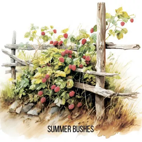 Summer Bushes интернет-магазин Beeribo