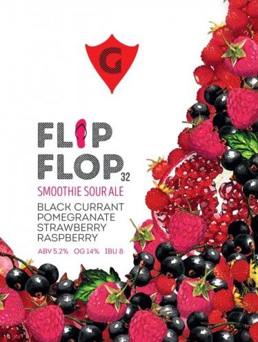 FLIP FLOP 32 | black currant • pomegranate • strawberry • raspberry интернет-магазин Beeribo
