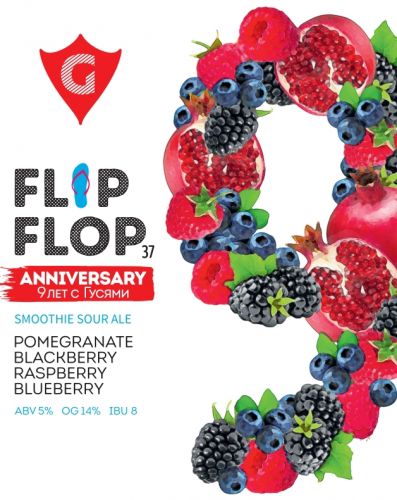 FLIP FLOP 37 | pomegranate • blackberry • raspberry • blueberry интернет-магазин Beeribo