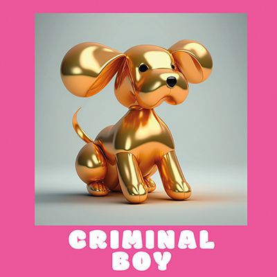 CRIMINAL BOY интернет-магазин Beeribo