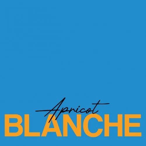 Apricot Blanche интернет-магазин Beeribo