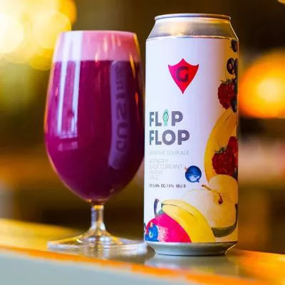 FLIP FLOP 3 | raspberry • black currant • banana • apple интернет-магазин Beeribo